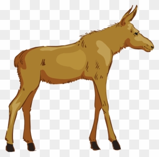 Free Moose Clipart - Moose Clipart Free No Background - Png Download