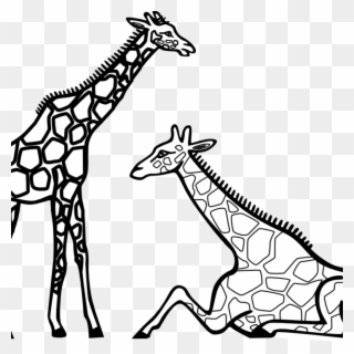 Gallery Of Reduced Black And White Unicorn Pictures - Giraffe S Coloring Pages Clipart