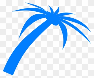 Download Free Printable Clipart And Coloring Pages - Blue Palm Tree Png Transparent Png