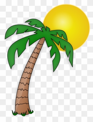 See Here New 2018 Free Pictures Download Palm Tree - Transparent Background Palm Tree Clipart - Png Download