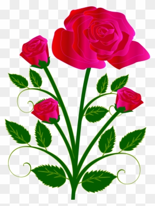 Free To Use Public Domain Rose Clip Art - Rose Drawings With Color - Png Download