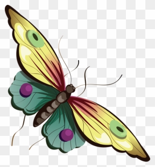 Cartoon Butterfly Clipart - Happy Friday Feeling Blessed - Png Download