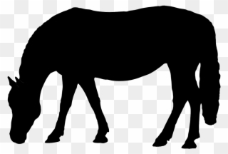 Silhouette - Horse Eating Silhouette Clip Art - Png Download