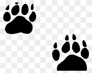Footprints Clipart Cougar - Black Bear Paw Png Transparent Png