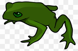 Free Simple Green Frog Clip Art Public Domain Images - Cartoon Frog No Background - Png Download