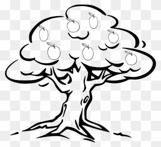 Apple Tree Clip Art Black And White Apple Tree Drawing Png