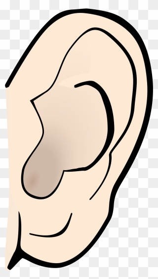 Listening Ear Clipart - Clip Art Ear - Png Download