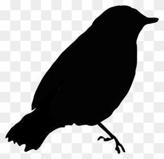 Image Of Blackbird Clipart 1 Black Bird Clip Art At - Black Bird Clip Art - Png Download