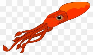 Squid Clip Art Free Clipart Images - Squid Clipart Png Transparent Png