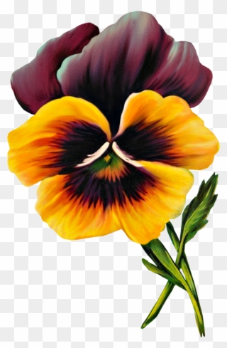 Free Vintage Pansy Graphic - Clip Art - Png Download