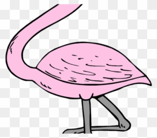 Flamingo Clipart Tropical Flamingo - Flamingos Cliparts - Png Download