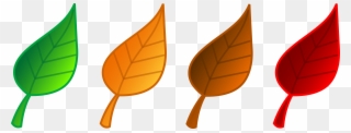 Set Of Four Tree Leaves - Leaf Cartoon Clip Art - Png Download