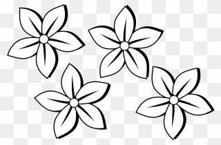 Flower Black And White Clip Art Hd Cool 7 Hd Wallpapers - Flowers Black And White - Png Download