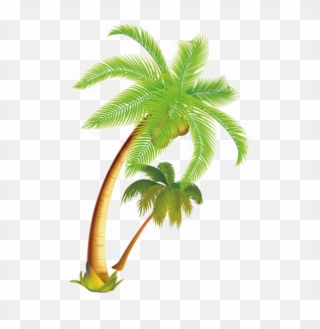 Coconut Tree Vector Png Clipart Palm Trees Coconut - Palm Trees Vector Png Transparent Png