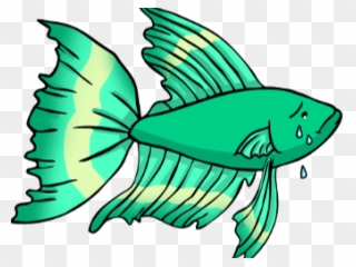 Tropical Fish Clipart Betta Fish - Lonely Betta Fish - Png Download