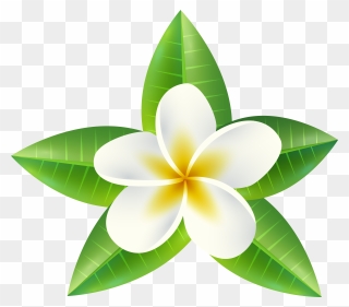 Tropical Flower Png Clip Art Imageu200b Gallery Yopriceville - Tropical Flowers Png Transparent Png