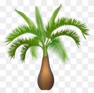 Palm Tree Plant Png Clip Art Image - Palm Trees Transparent Png
