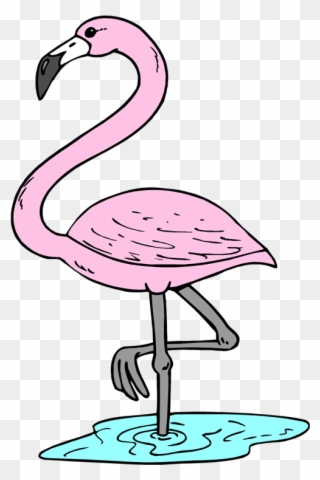 Flamingo Clipart Tropical Flamingo - Transparent Flamingo Clip Art - Png Download