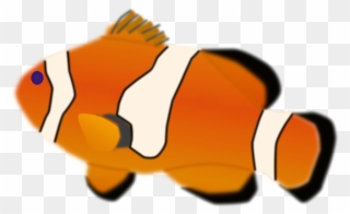 Clownfish Clipart Tropical Fish - Clown Fish - Png Download