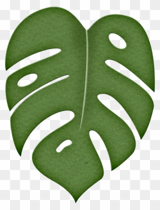 Leaves Clipart Green Tropical - Molde Costela De Adão - Png Download
