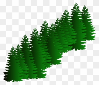 Evergreen Trees Clipart - Png Download