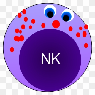 Nk Cell Clip Art - Natural Killer Cells Clipart - Png Download