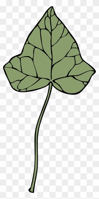 free-png-ivy-leaf-clip-art-download-pinclipart