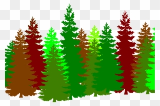 19 Forest Clipart Huge Freebie Download For Powerpoint - Lots Of Cartoon Trees - Png Download
