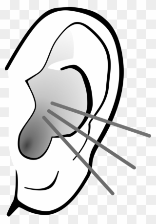 Ear Image Free Download Clip Art - Listening Ear Png Transparent Png