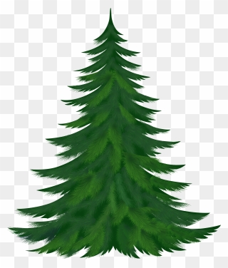 54 Free Pine Tree Clip Art - Arbol De Navidad .png Transparent Png