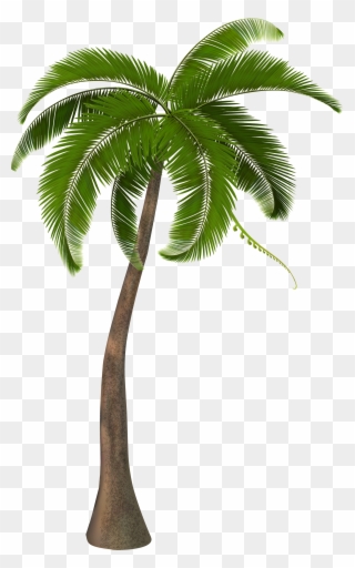 Palm Trees Clip Art Units 11 Clipart The Gospel Project - Palm Tree Png Hd Transparent Png