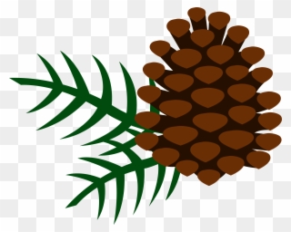 Free Clip Art Pine Trees - Pine Cone Clipart Png Transparent Png