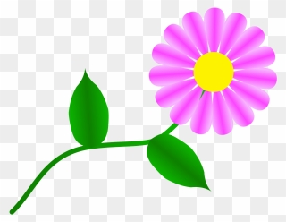 Daisy Clip Art Flowers - Clipart Daisy Png Transparent Png