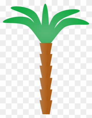All Photo Png Clipart - Easy Cartoon Palm Trees Transparent Png