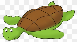 Cartoon Shark, Sea Turtle Clip Art - Clip Art Turtles Png Transparent Png