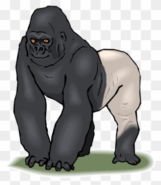Free Gorilla Clipart - Things That Begins With The Letter G - Png Download