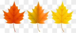 Autumn Leaves Set Png Clip Art Imageu200b Gallery Yopriceville - Different Fall Leaves Transparent Png