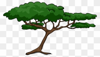 Tree Clipart Safari - Acacia Tree Clipart - Png Download