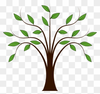Clip Art Trees Free - Tree Clipart - Png Download