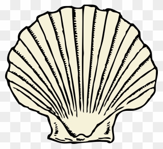 Graphic Black And White Stock Scallop Shell Outline - Sea Shell Clip Art - Png Download