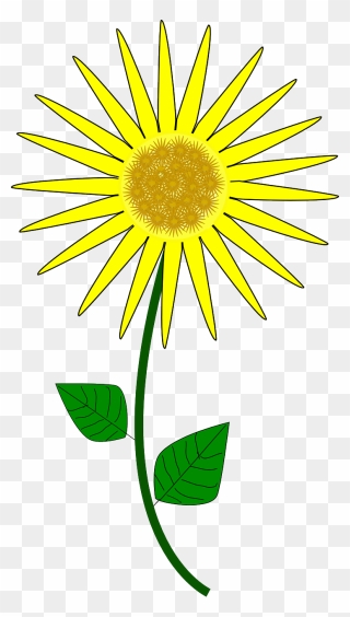 Sunflower Clip Art Free Clipart To Use Resource - Animated Sunflower Cartoon Png Transparent Png