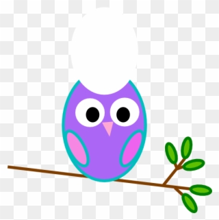 Cartoon Owls - Clip Art Small Owl - Png Download