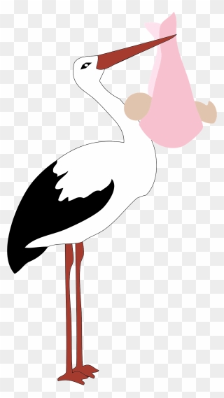 Infant Childbirth Stork Girl - Black Stork Vector Icon Clipart