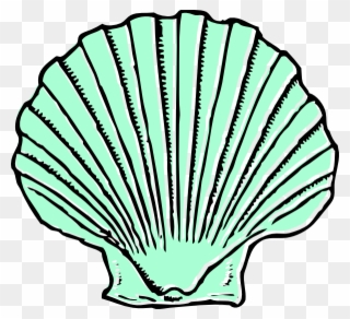 Aqua Seashell Clip Art At Clipart - Shell Clip Art - Png Download