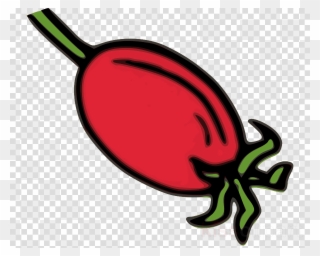 Download Rose Hips Clip Art Clipart Rose Hip Dog-rose - Clock Vector Transparent - Png Download