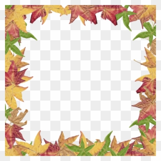 Fall Leaves Border Panda Free Images Fallborderclipart - Creative Border For Project - Png Download