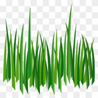 Grass Png Image, Green Grass Png Picture - Cartoon Grass Transparent Background Clipart