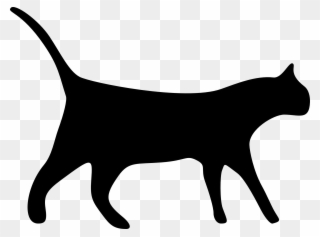 Black - Cat Icon No Background Clipart