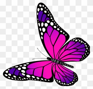 Butterfly Clip Art - Butterfly Pink And Purple - Png Download
