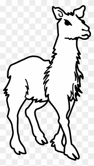 Llama Alpaca Evolution Drawing Computer Icons - Llamas Black And White Clipart - Png Download